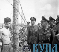 Тысячи дней немецкого плена