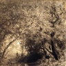 Юлиус Маржак. Затишье в лесу (1865 г.)
