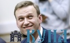 Навальный-project