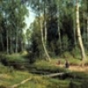 Русский лес. Великий сталинский план