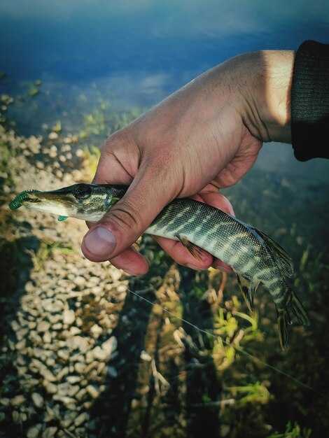 Анализ угроз для кистеперых рыб в современных условиях