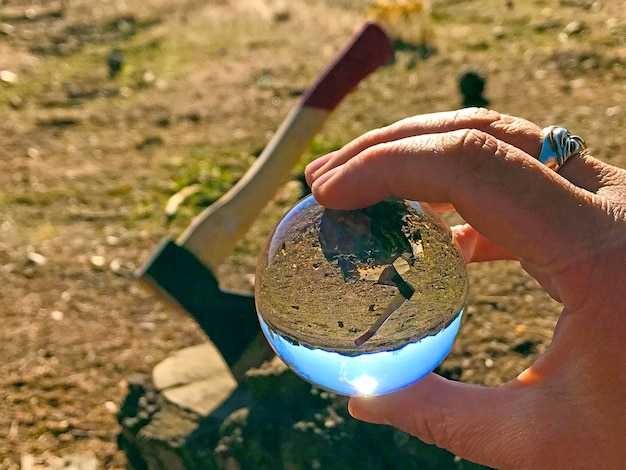 Углеродные источники и стоки в экосистемах