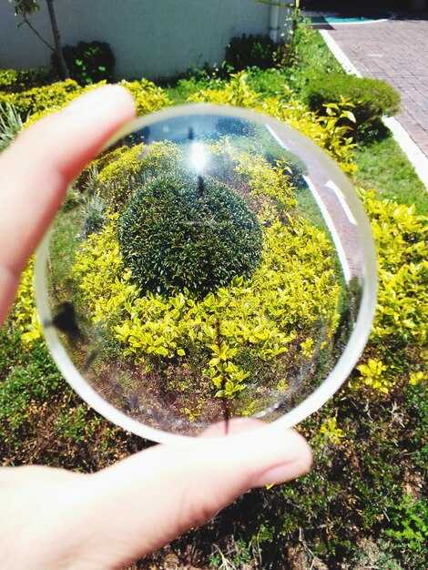 Технологии улавливания и хранения углерода