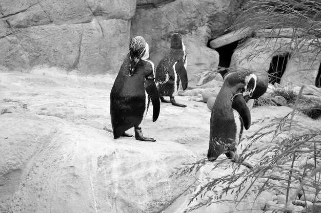 Экологические условия и природные ресурсы