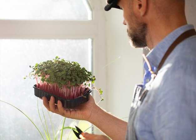 Экологические последствия утраты биоразнообразия культурных растительного мира