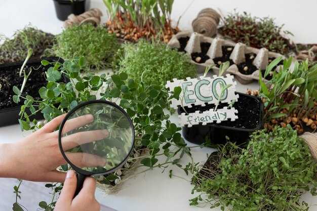 Роль местных сообществ в сохранении культурных растений