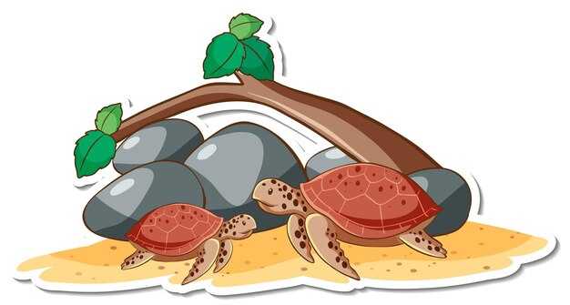 Значение защиты гнезд: как помочь черепахам на этапе вылупления