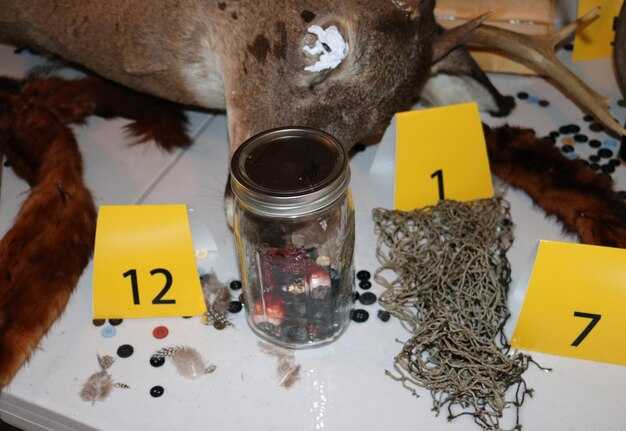 Роль микроорганизмов в разложении