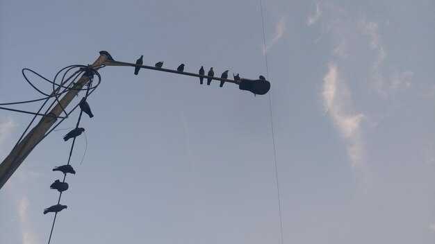 Температура перехода в состояние сверхпроводимости