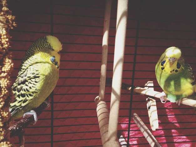 Локация и геологические особенности места находки