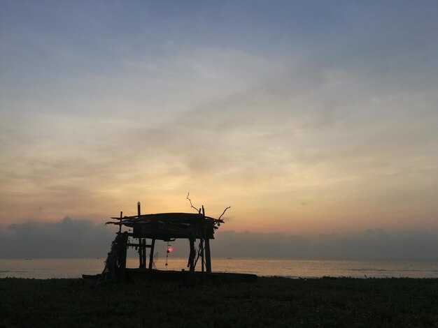 Реакция правительства США на катастрофу