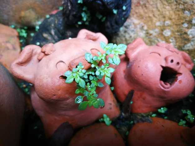 Будущее исследований: возможности изучения жизни без кислорода