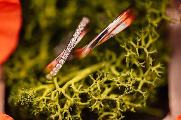 Применение диатомовых водорослей в промышленности