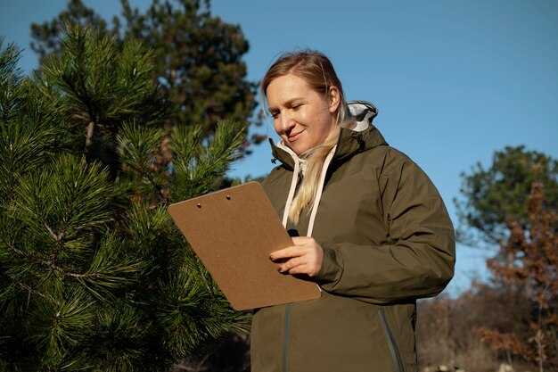 Сравнение микроклимата под кронами деревьев и на открытых территориях