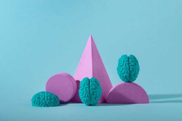 Функции левого полушария в аналитическом мышлении