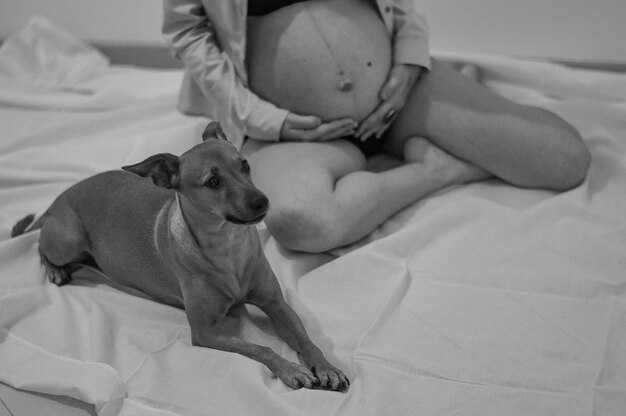 Краткий обзор других животных, использовавшихся в медицине