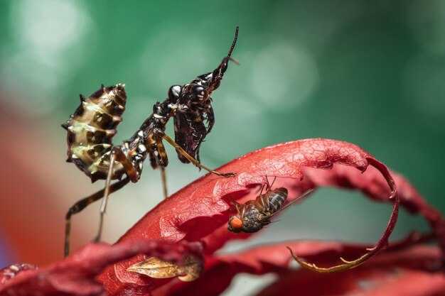 Исследования по хищничеству: новейшие открытия
