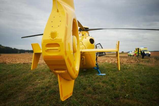 Истребители: особенности и функции