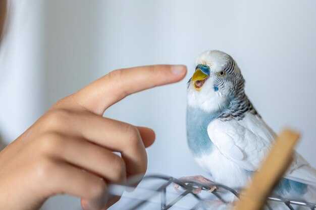 Кольцевание как метод исследования поведения птиц