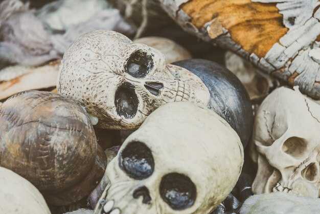 Функция ребер: защита и поддержка органов