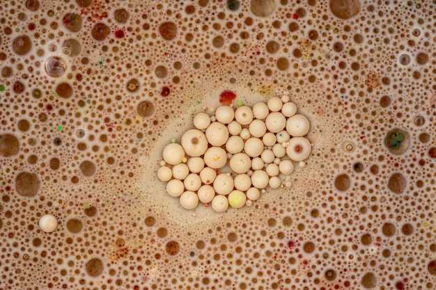 Роль мембраны в процессе фагоцитоза