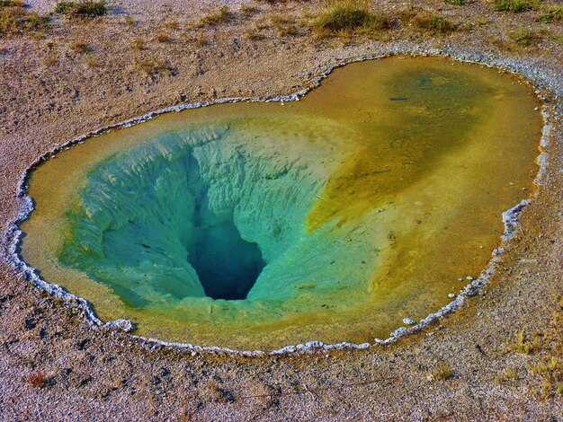 Значение кратера для изучения динозавров