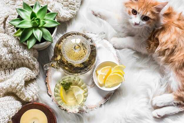 Способы применения настойки для улучшения сна