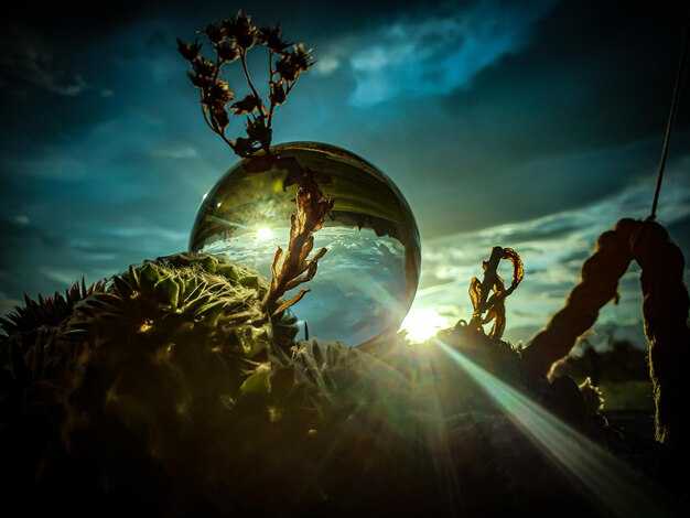 Секреты симбиоза и его эволюционная роль