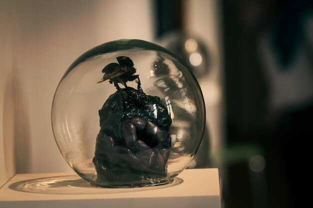 Проблемы и угрозы для процессов размножения на планете