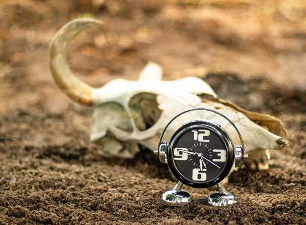 Магнитные полюсы и их роль в делении времени