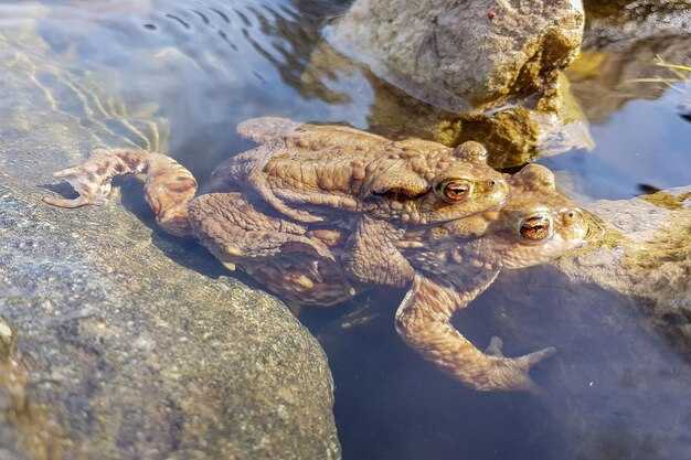 Минимизация воздействия человека на удалённых территориях