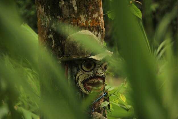 Главные теории о происхождении видов: дарвинизм и его критика