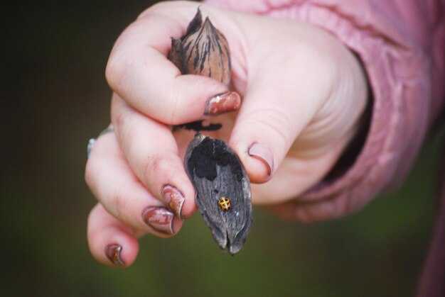 Звуки, используемые для эхолокации