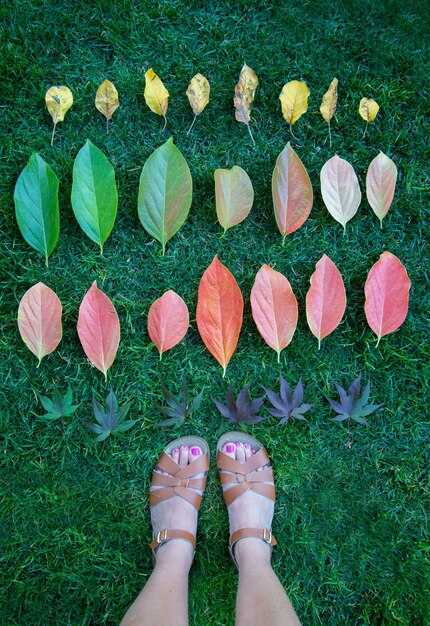 Вторичная полость тела и её значение в животном организме