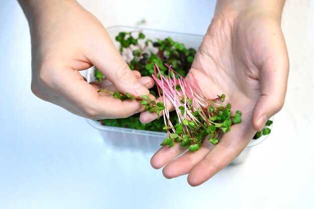 Особенности поведения и укромные места обитания