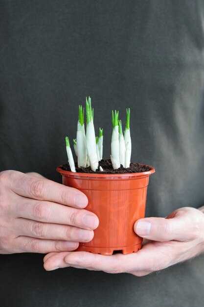 Влияние на разнообразие растительности