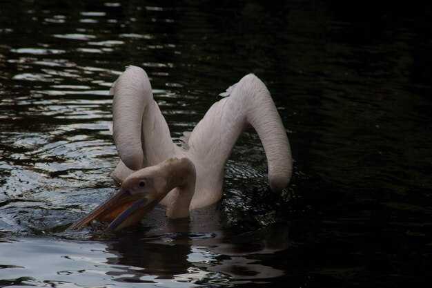 Математические расчеты объема вытесненной жидкости