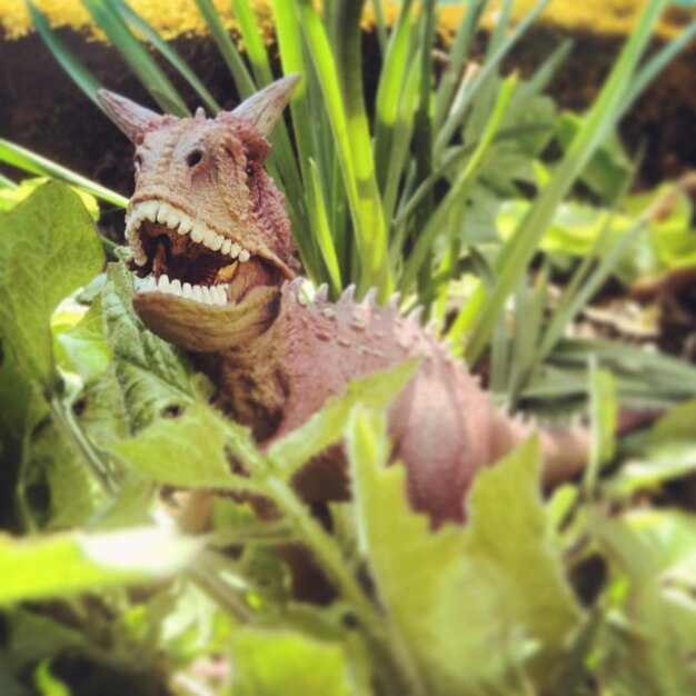 Эксперименты по изучению зубного роста у животных