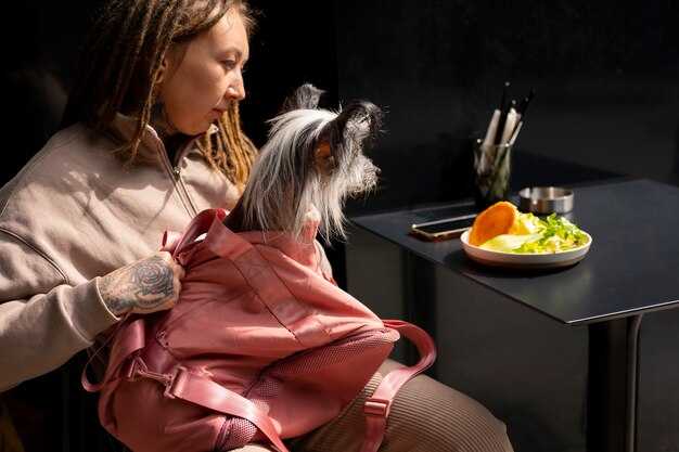 Роль клапанов в кровообращении: механика работы