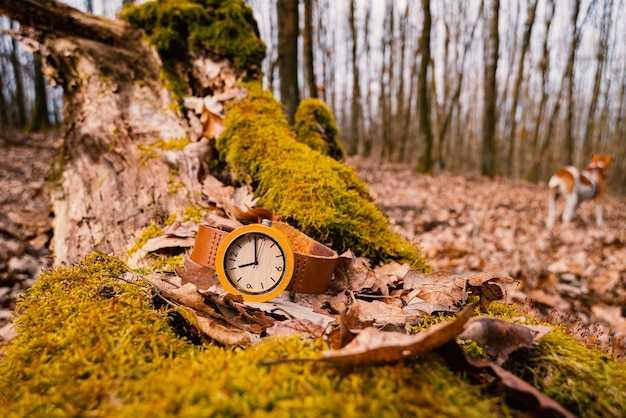 Локации с высокой вероятностью появления миражей