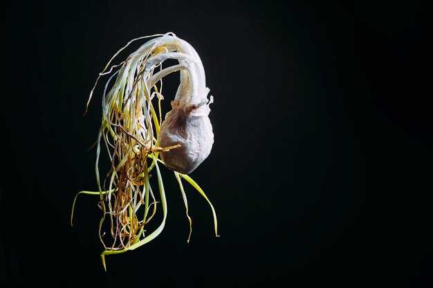 Как фронтальная кора участвует в зрительном восприятии