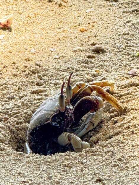 Как находки повлияли на понимание экосистем тех времен?