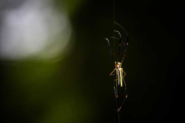 Как fotografirovat