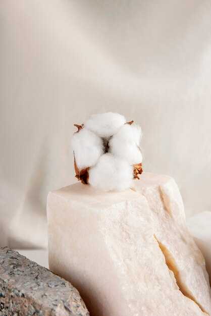 Хлопок в искусстве: от живописи до литературы