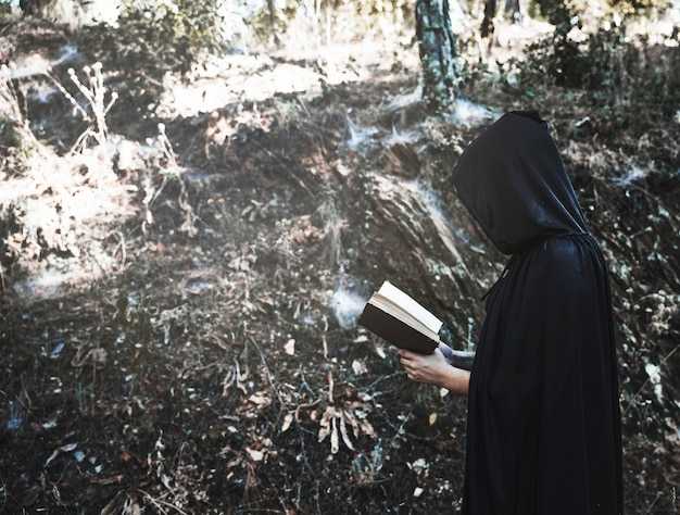 Роль природы и географии в сражении