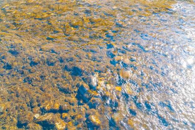 Какая сила вызывает приливы и отливы в морях и океанах земли
