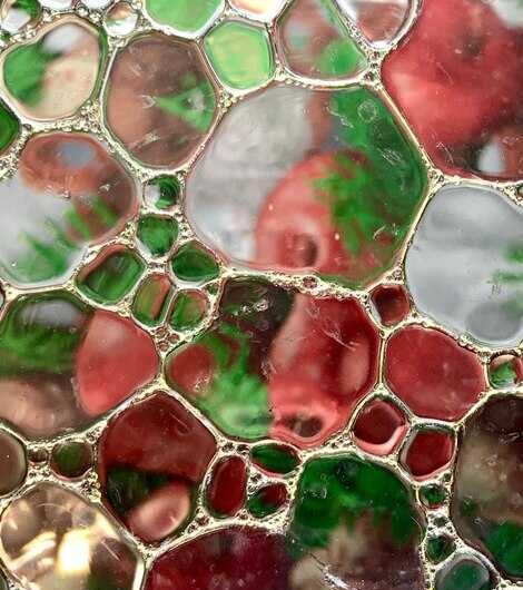 Какие ароморфозы в строении клетки обеспечили появление одноклеточных эукариотических организмов